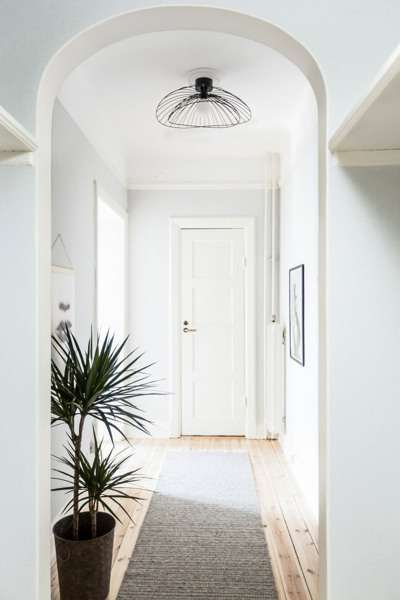 Ray Plafond/Vägglampa Svart | Globen Lighting | 7319432680111 | 268011 | Maessing Interiör