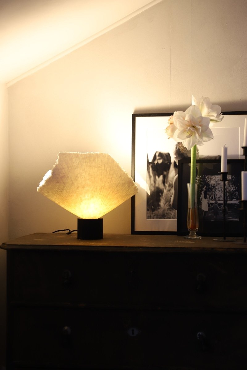 Tropez Bordslampa Natur | Globen Lighting | 7319431210203 | 121020 | Maessing Interiör