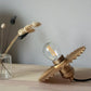 Omega Taklampa 15 Guld | Globen Lighting | 7319432410657 | 241065 | Maessing Interiör