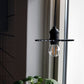 Omega Taklampa 15 Svart | Globen Lighting | 7319432410114 | 241011 | Maessing Interiör