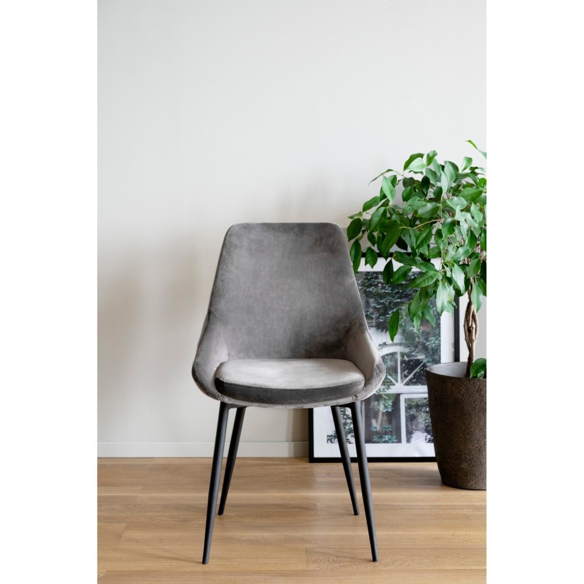 Sierra Stol Grå/Svart | Rowico Home | 7340126537138 | 110387 | Maessing Interiör